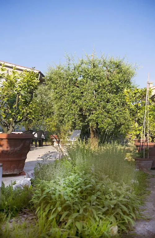 Guest house Dolce Sosta Hotel Lucca